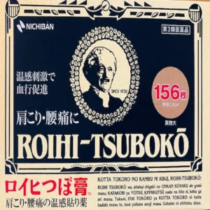 Nichiban Roihi-Tsuboko Large Sized Pain Relief Patches (78)